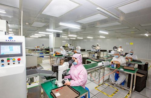 奮進在春光里 電子信息產業(yè)滿園春色，信息技術咨詢服務賦能向海圖強